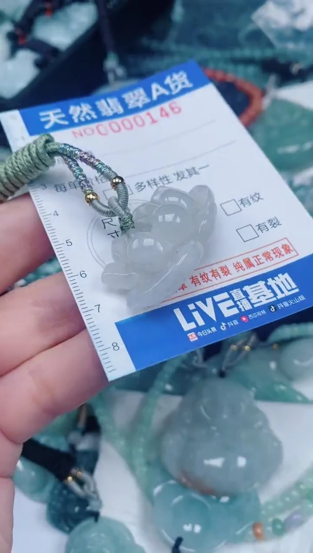 颈饰未镶嵌翡翠00000146