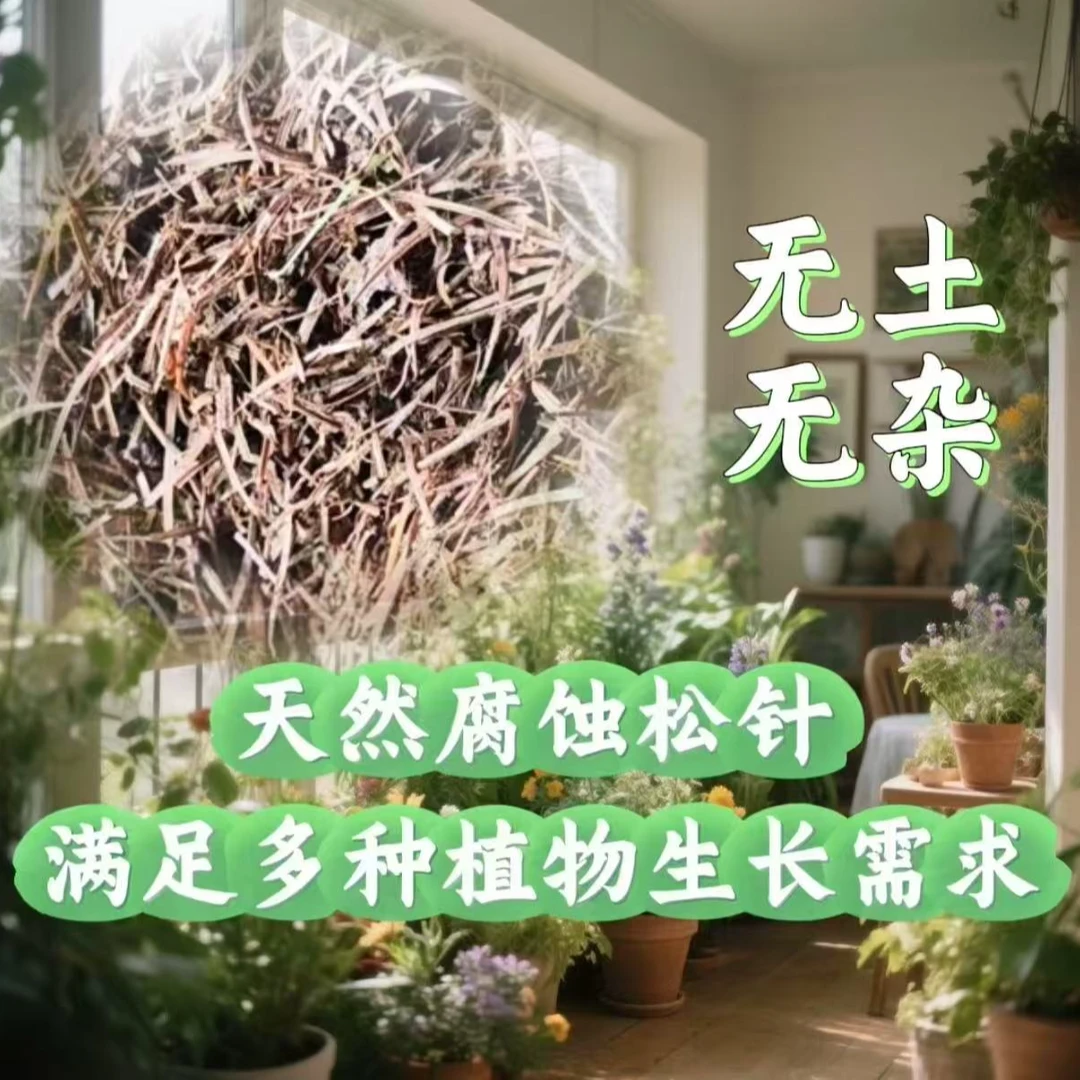 发酵无土纯松针腐熟松针君子兰通用营养土花卉绿植月季蓝莓三角梅