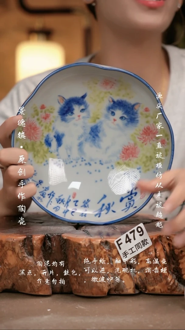 其他F479新十二器