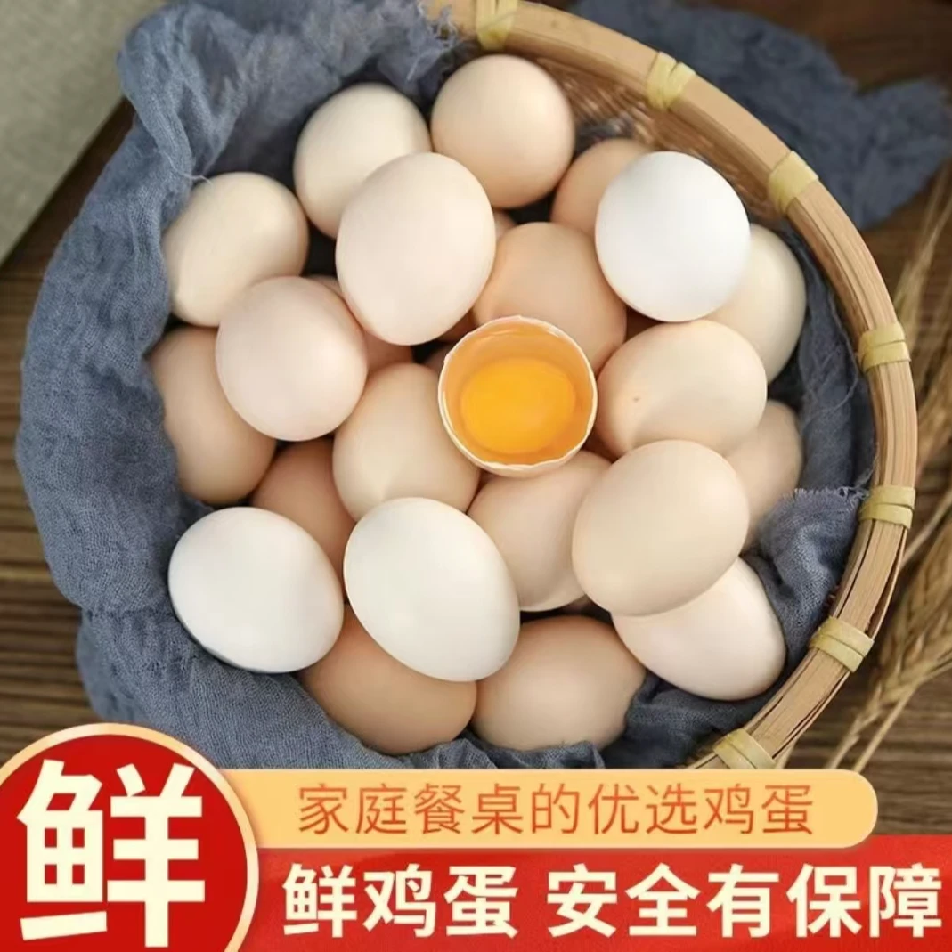 【50枚】营养土鸡蛋农家山林散养正宗土鸡蛋味美更实惠！