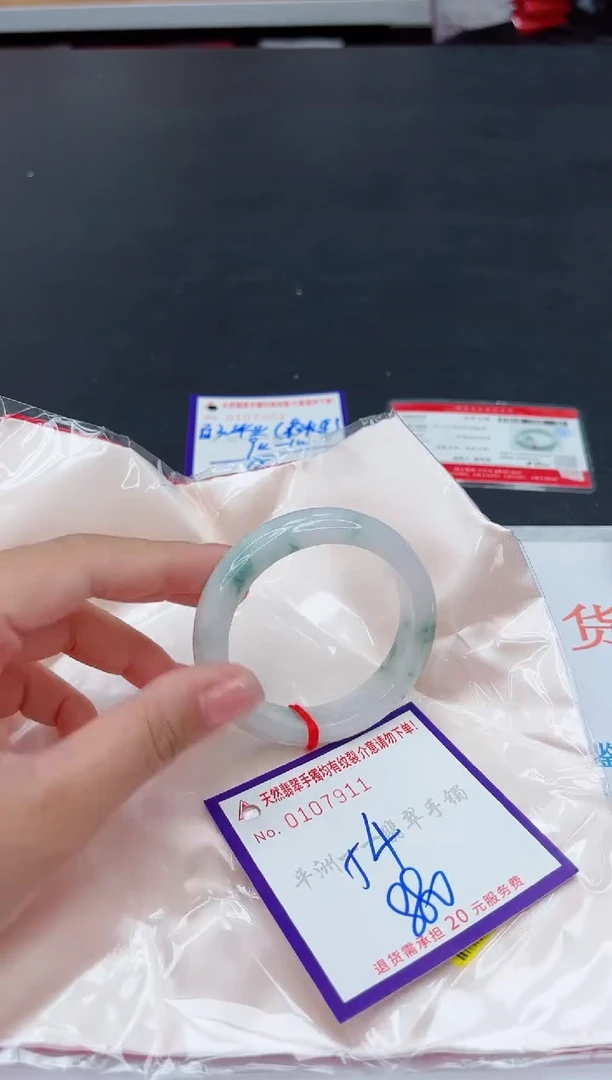 未镶嵌手镯翡翠1