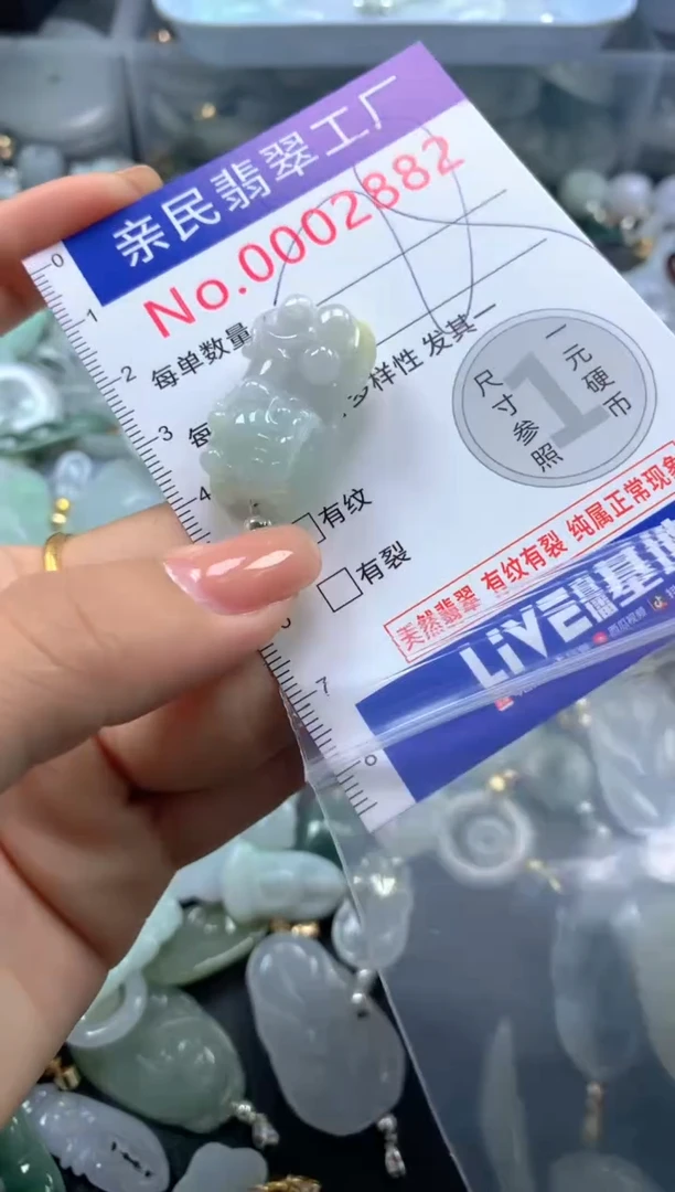 颈饰未镶嵌翡翠2882