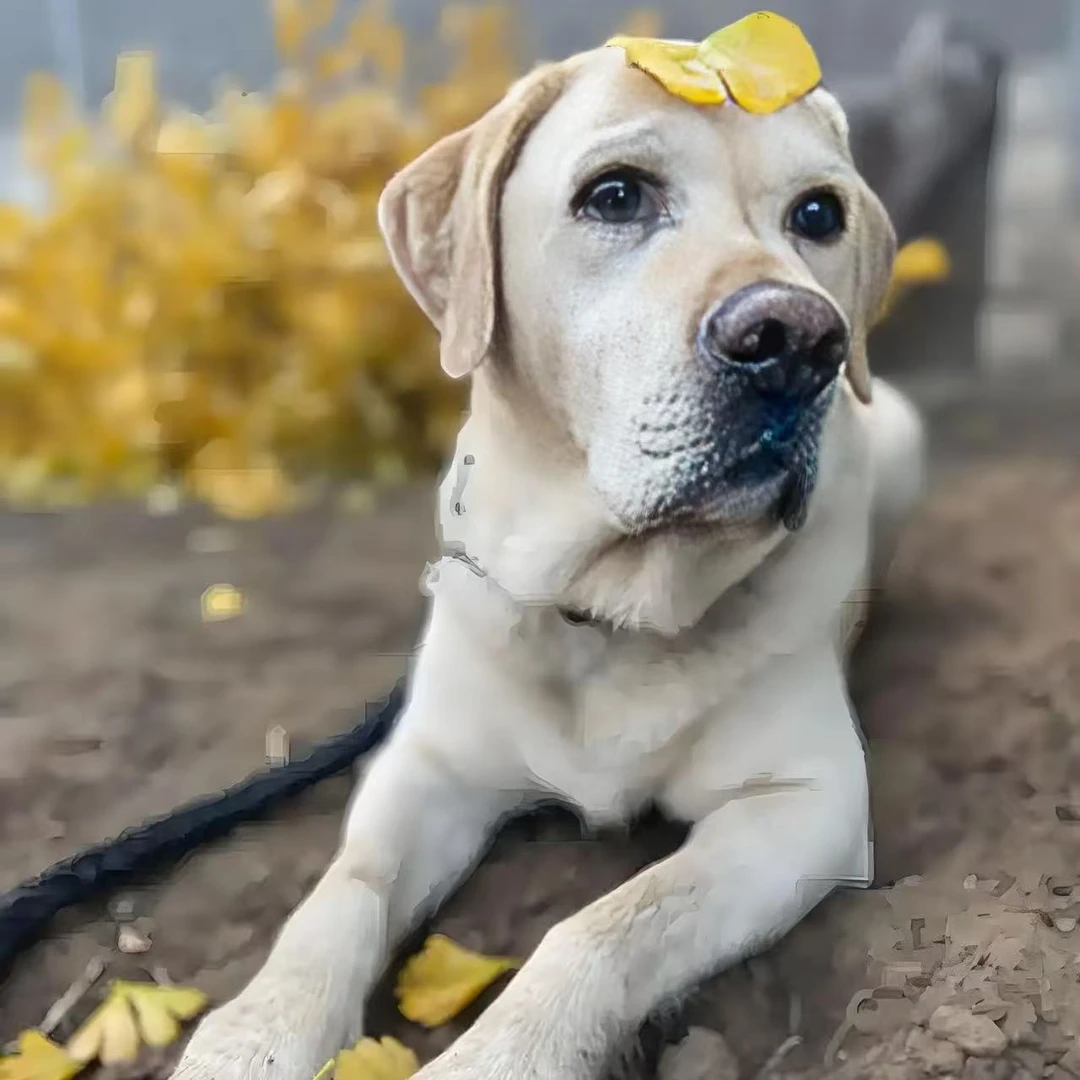 直播间挑选(串串)，一物一拍