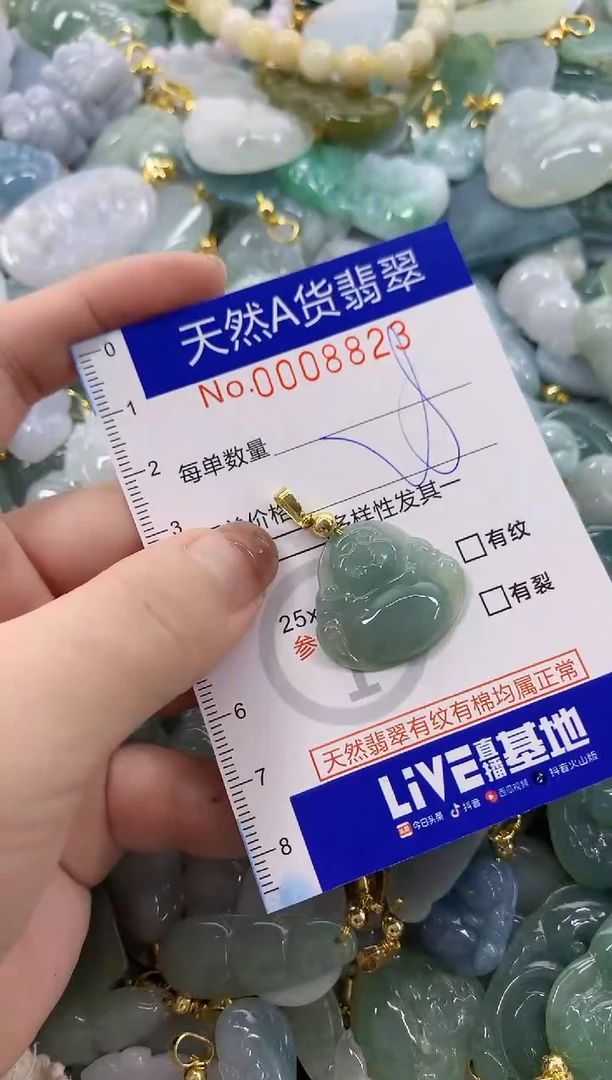 颈饰未镶嵌翡翠天然A货翡翠