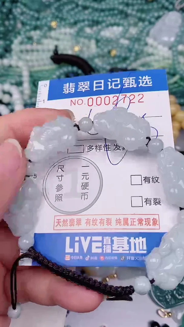 【闪购商品】翡翠颈饰未镶嵌00002722
