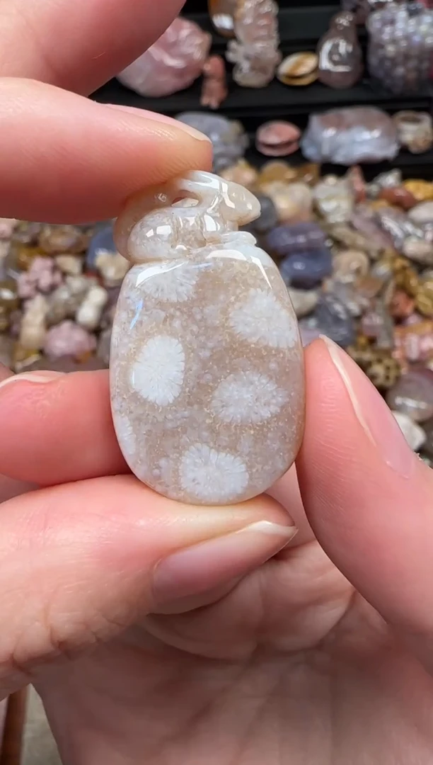 颈饰未镶嵌硅化珊瑚（珊瑚玉）246