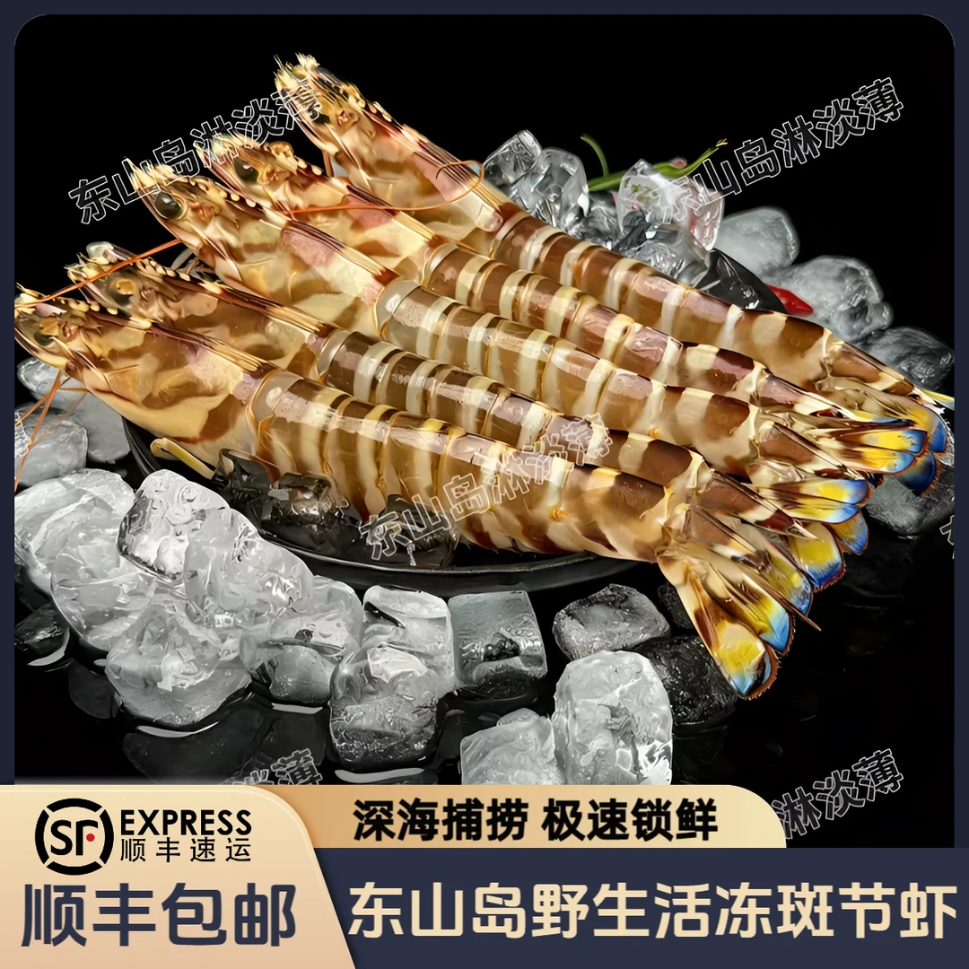【特大号】福建东山岛本港活冻斑节虾3-6只/斤 深海现捕野生海虾