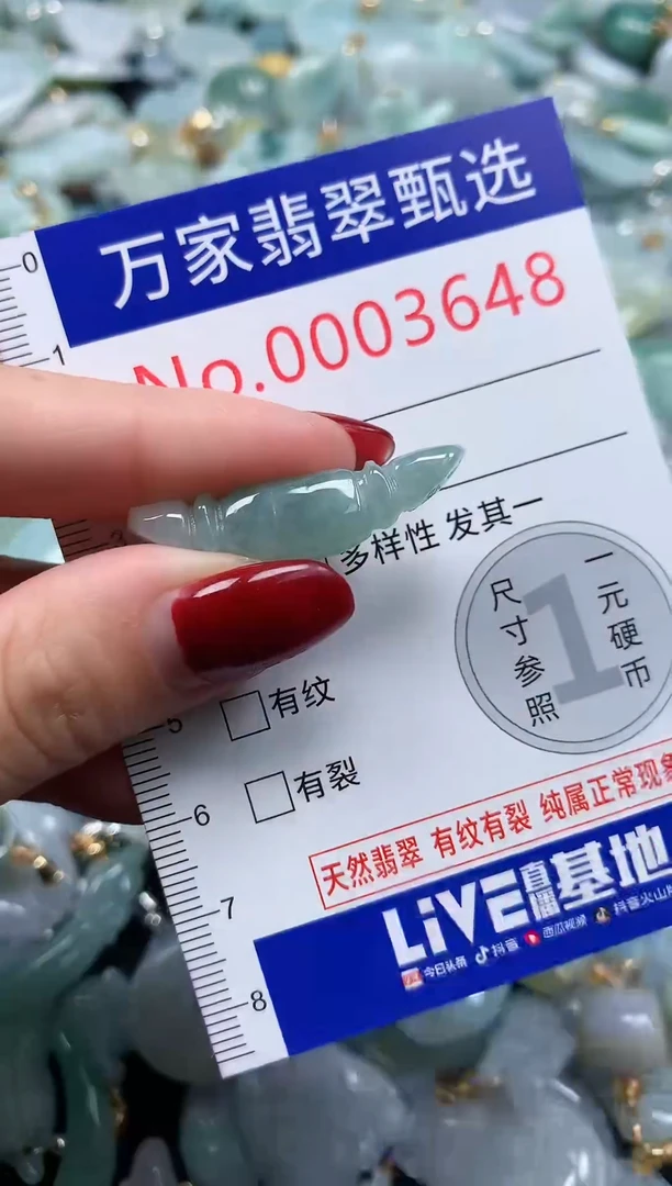 颈饰未镶嵌翡翠3648