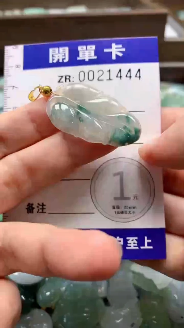 翡翠未镶嵌颈饰翡翠A货 多样性发其一（含绳）