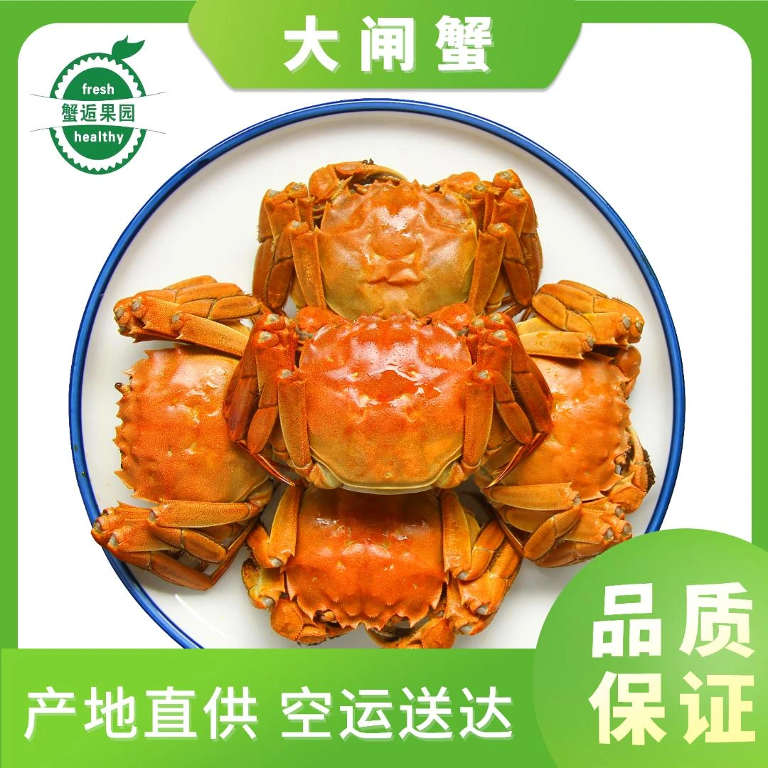 A苏州精品大闸蟹全母2.5两8只装冷链包邮海鲜