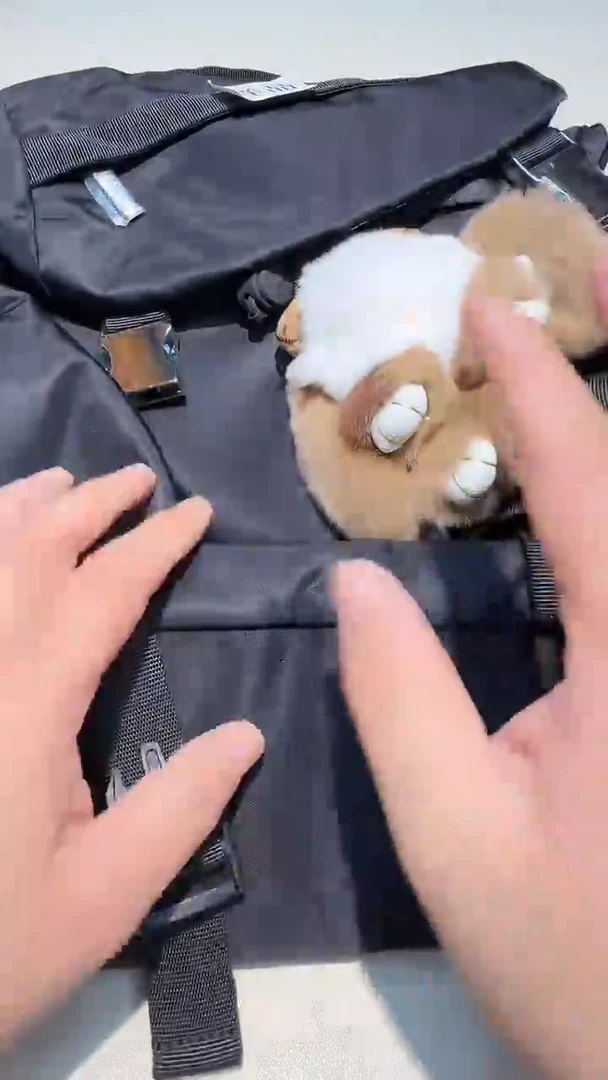 瓷片都是大宝贝儿都是大漂亮****826