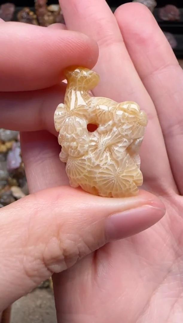 颈饰未镶嵌硅化珊瑚（珊瑚玉）381