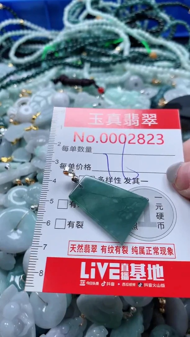 吊坠(不含链)未镶嵌翡翠2823