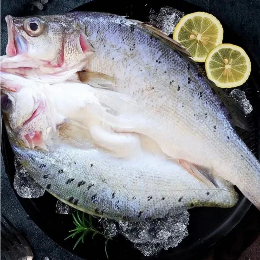 开背去鳞深海鲈鱼 肉质新鲜鲜嫩 冷冻450-500g左右/条 到手4+1条