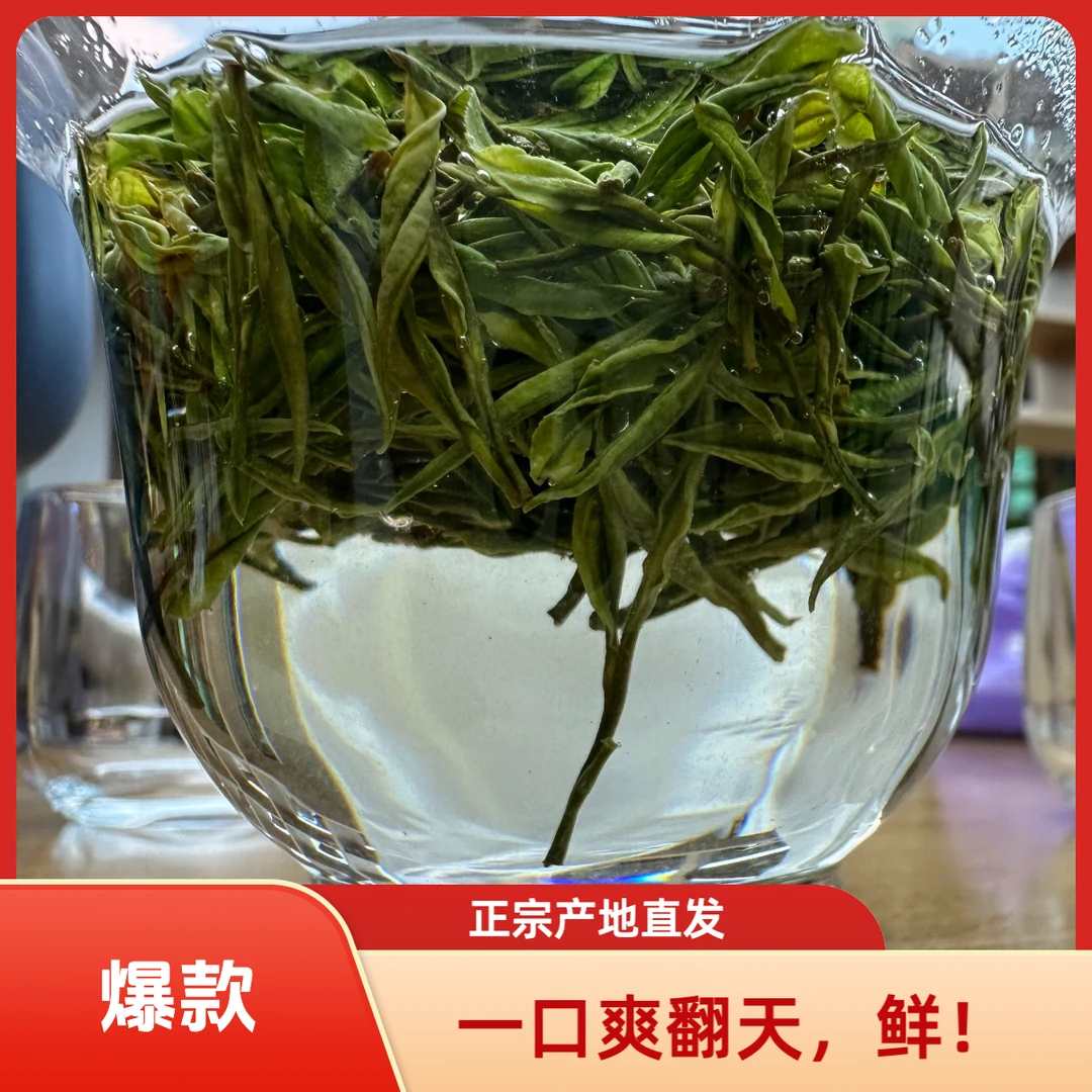 安吉白茶1罐125g手工茶绿茶2025年新茶原产地直发包邮