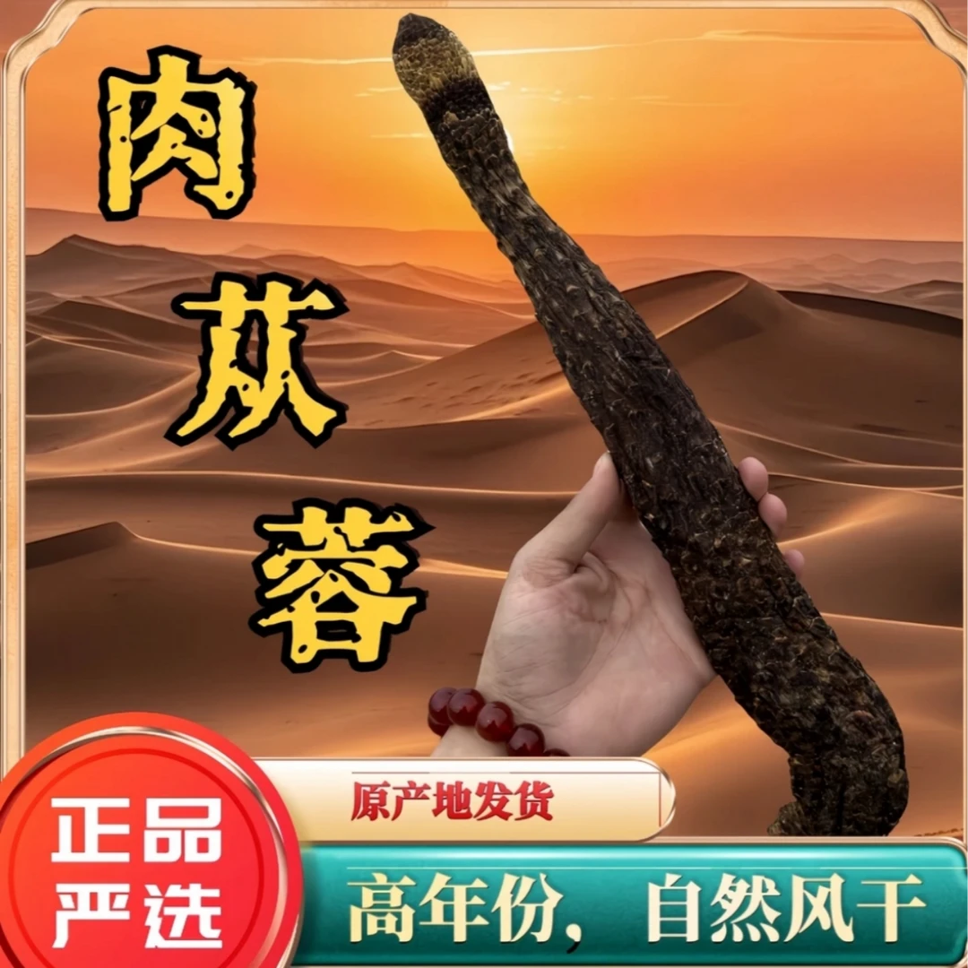 【肉苁蓉】塔克拉马干整根软大芸福利
