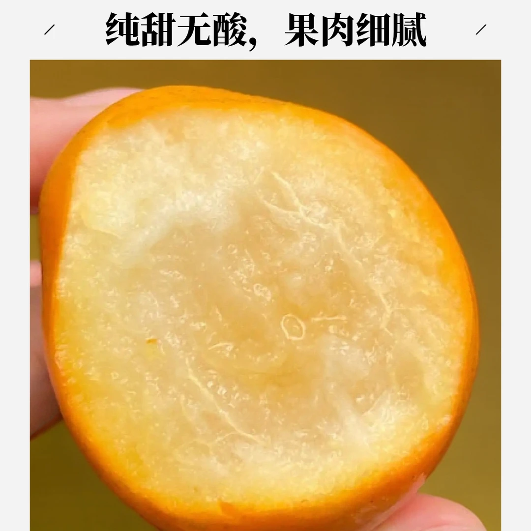 京东/顺丰包邮第三代广西融安脆蜜金桔纯甜多汁现摘现发