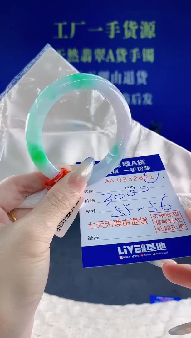 未镶嵌手镯翡翠21