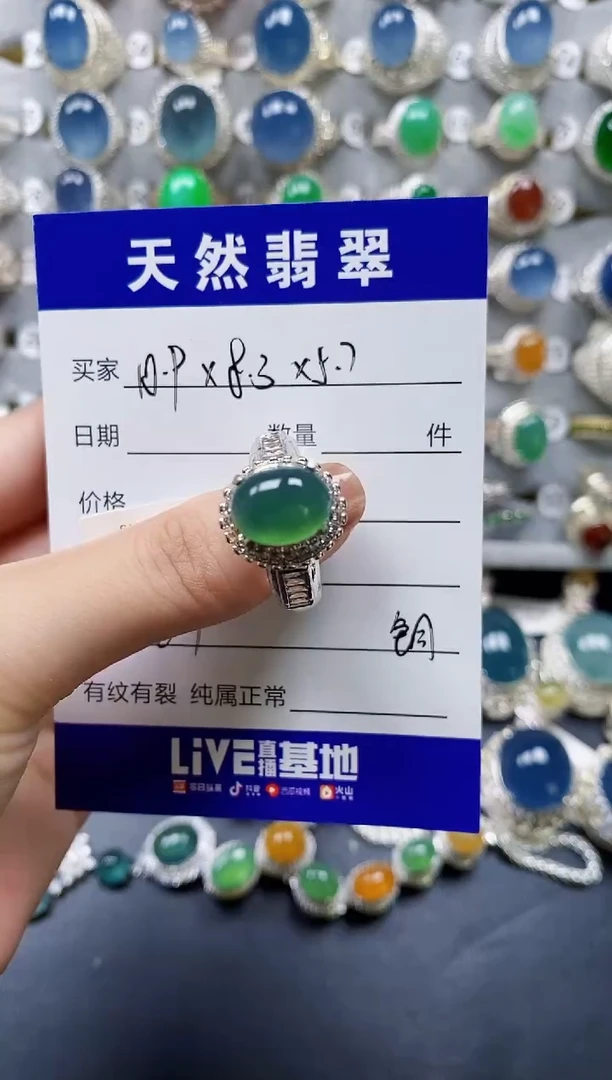 翡翠未镶嵌颈饰00000700