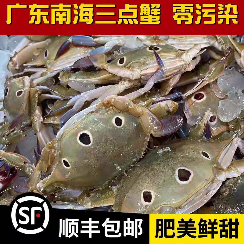 三眼蟹海捕三斤装顺丰包邮
