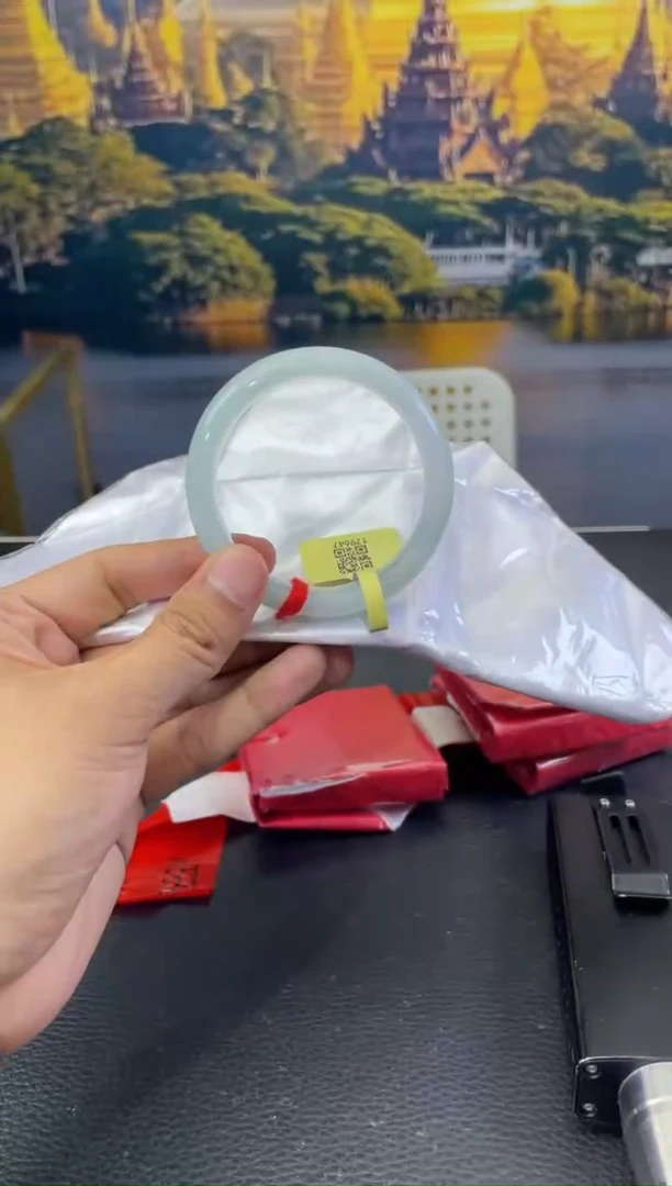 未镶嵌手镯翡翠4