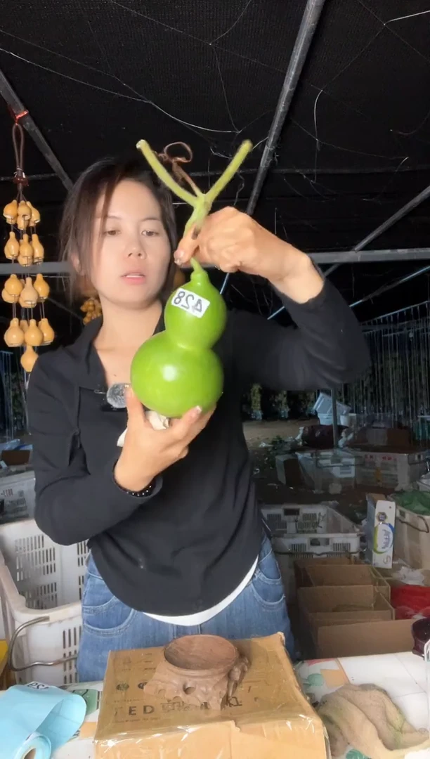 428天然葫芦摆件 一物一拍龙头不保售后