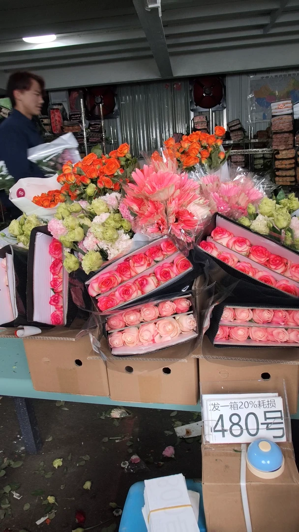 480号♥含20%耗损发一箱