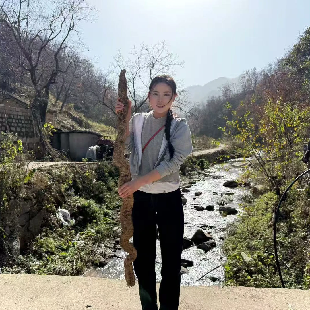 花果山野生大山药（顺丰包邮）