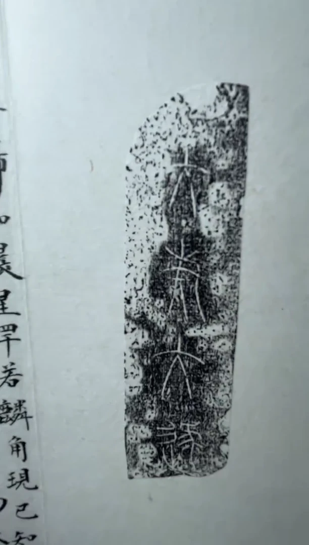 【闪购商品】拓片用纸其他拓片杨涛TP400068册页东周齐国石磬