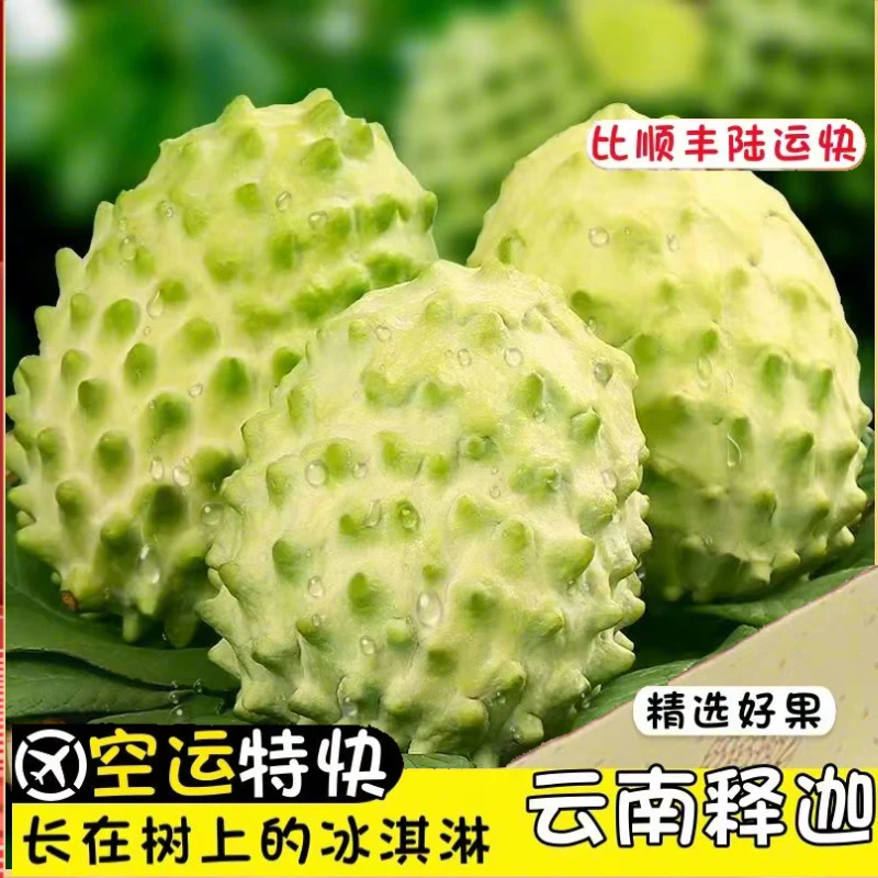 【空运包邮】云南高原牛奶凤梨释迦果纯甜应季新鲜水果 AX