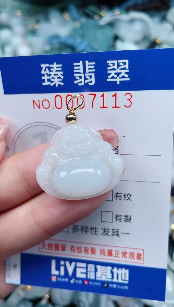 【闪购商品】翡翠颈饰未镶嵌.0007113