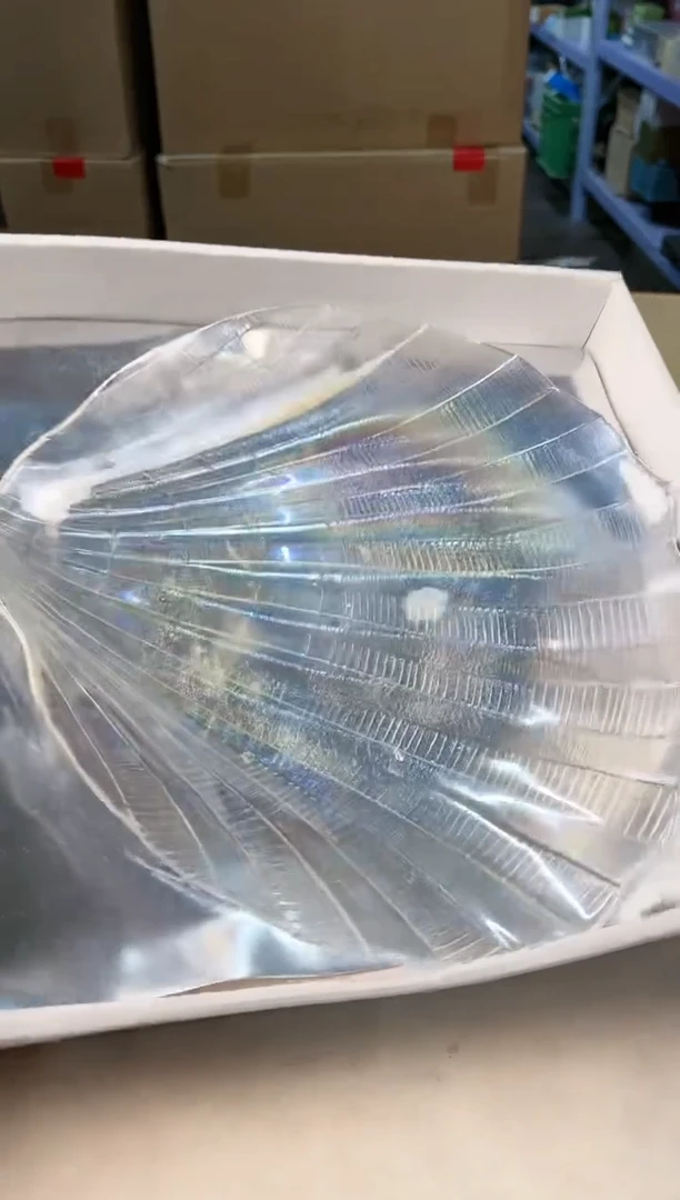 【闪购商品】瓷片687打包不容易，谨慎参拍~~~！