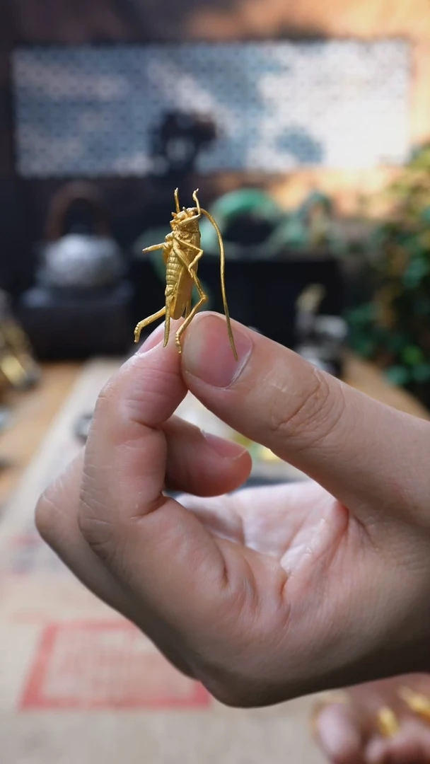 欲山行 高货设计款