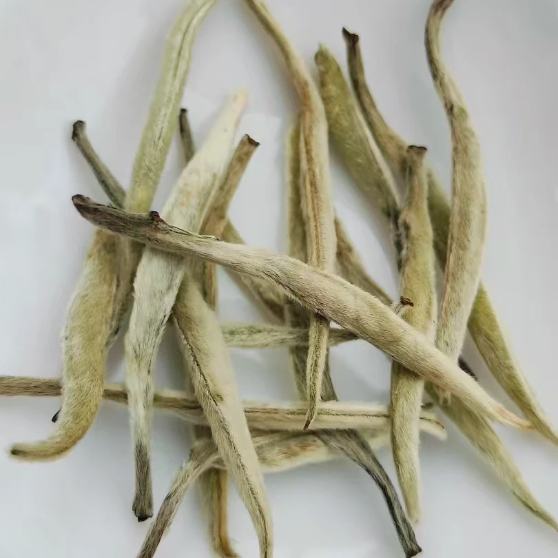 【大白芽】云南大叶种白茶