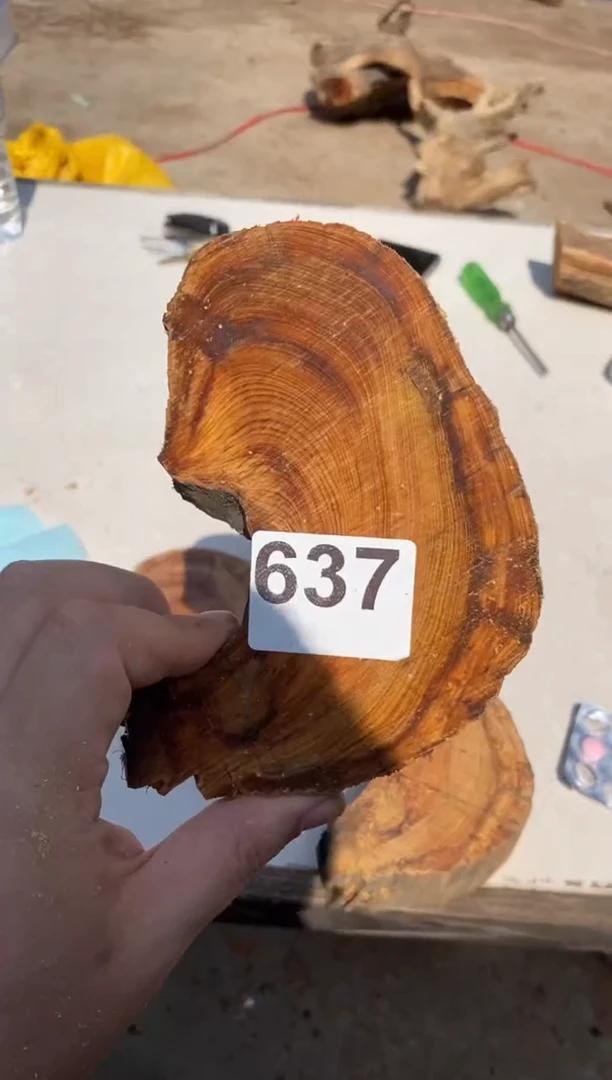 柏木（崖柏）太行陈化崖柏切片一块（津诚林）637