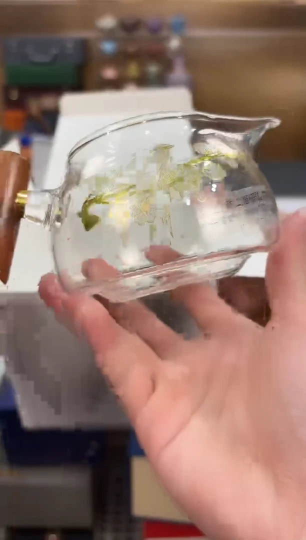 【闪购商品】喜上眉梢公杯链接已开 拼拼手速！！！