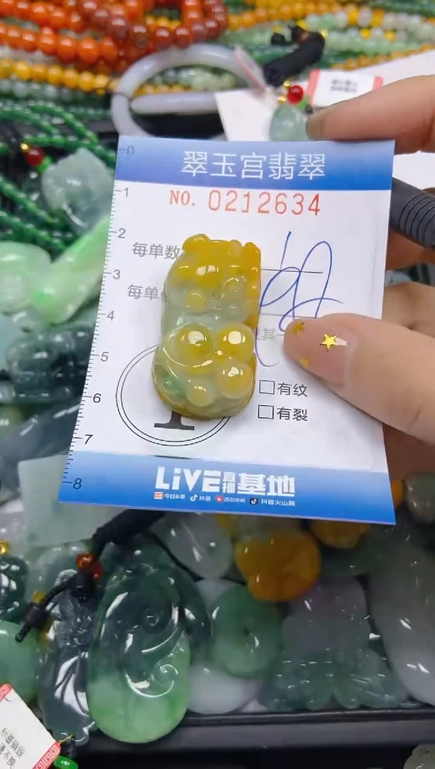 颈饰未镶嵌翡翠闪购C0212634