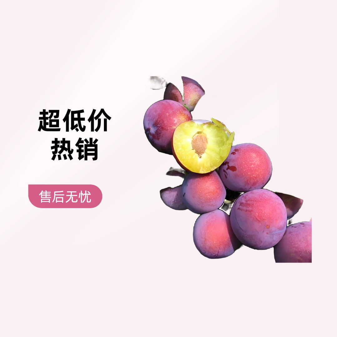 法兰西西梅-12.9元/盒