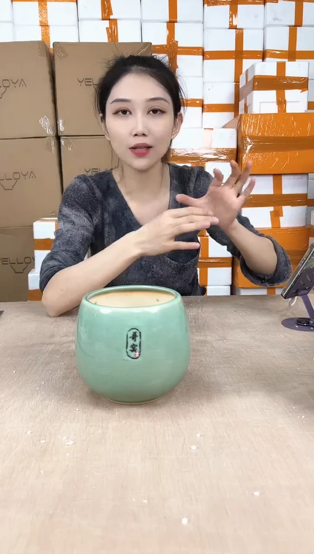 龙蛋裂纹浅绿13x13