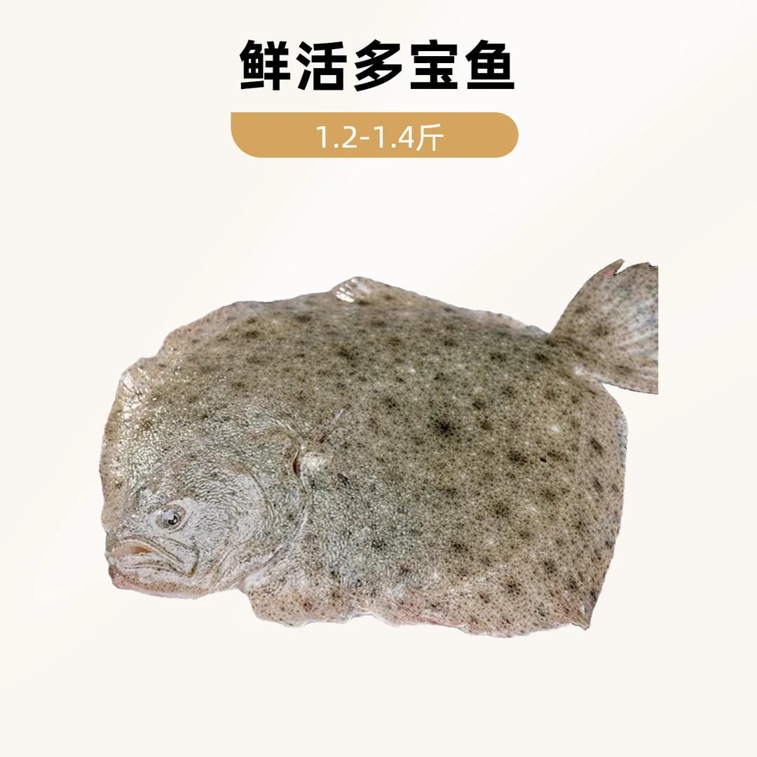 鲜活多宝鱼1条约1.2-1.4斤（默认宰杀，杀前重量）