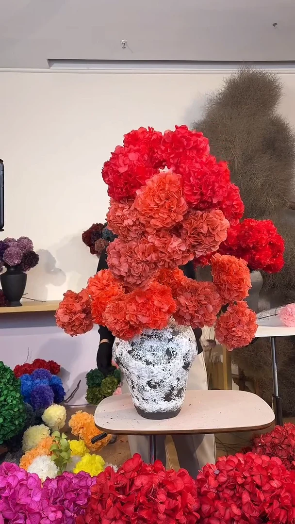 漂色永生大叶绣球花球10枝  红5/红咖5