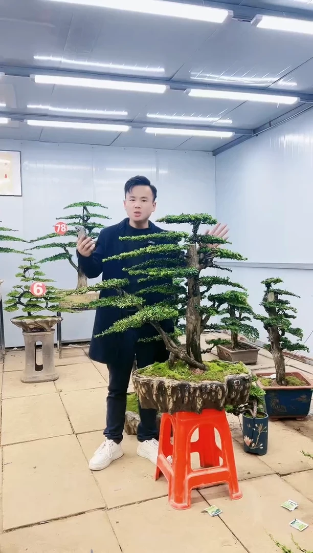 00000000000000000000