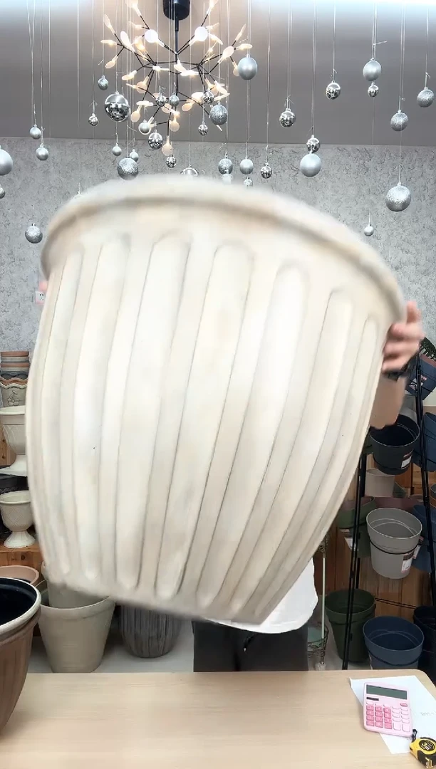 22寸瓦尔纳2只装画眉白默认无孔