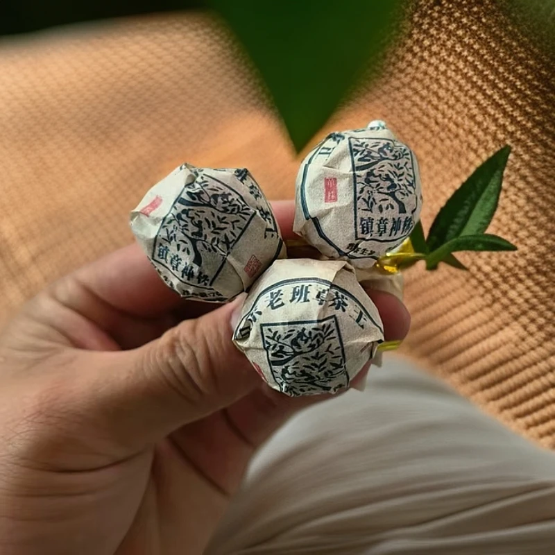 2021年镇章神株卫东老班章茶王单株普洱生茶龙珠H7号3月30日