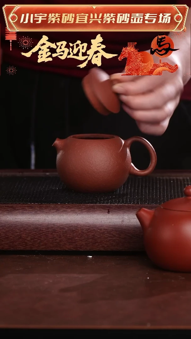 茶壶紫砂粗砂西施壶