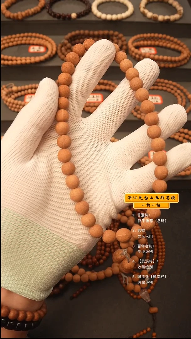 吊坠五线菩提y手持