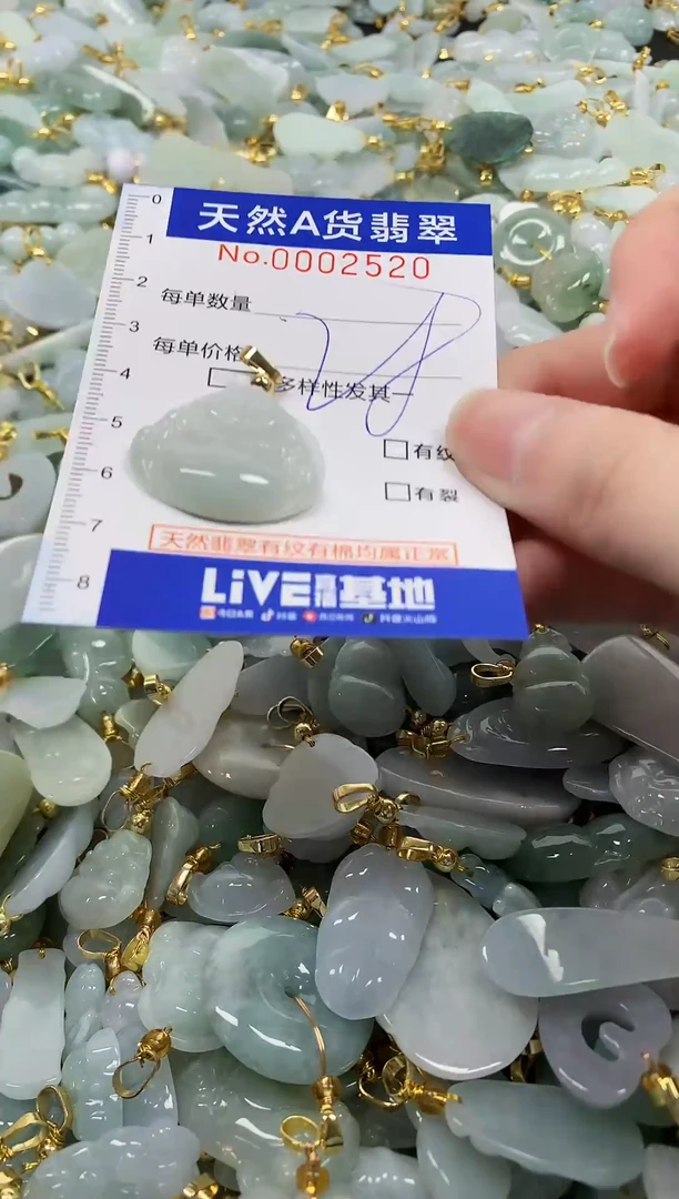 颈饰未镶嵌翡翠纯天然a货翡翠