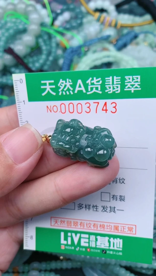 翡翠未镶嵌颈饰.0003743