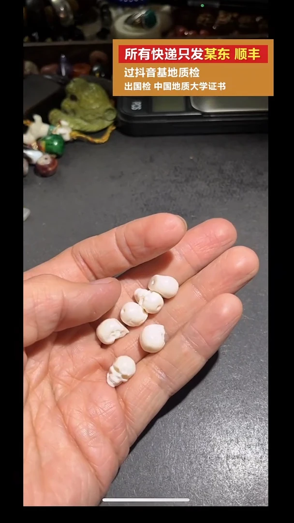 吊坠菩提根/象牙果pz909-3三粒一起发货