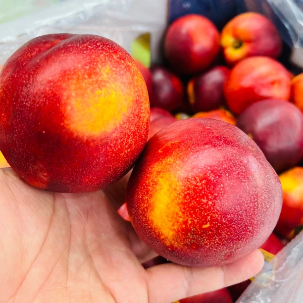 【蓝鲸小掌柜】澳洲金腰带黄肉油桃一箱11个2.8斤左右软点更好吃